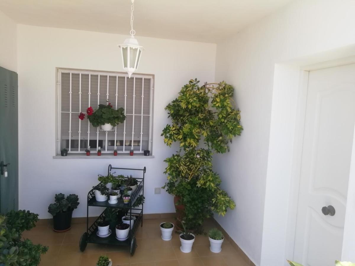 Las Gemelas De Terreros 1 San Juan de los Terreros エクステリア 写真
