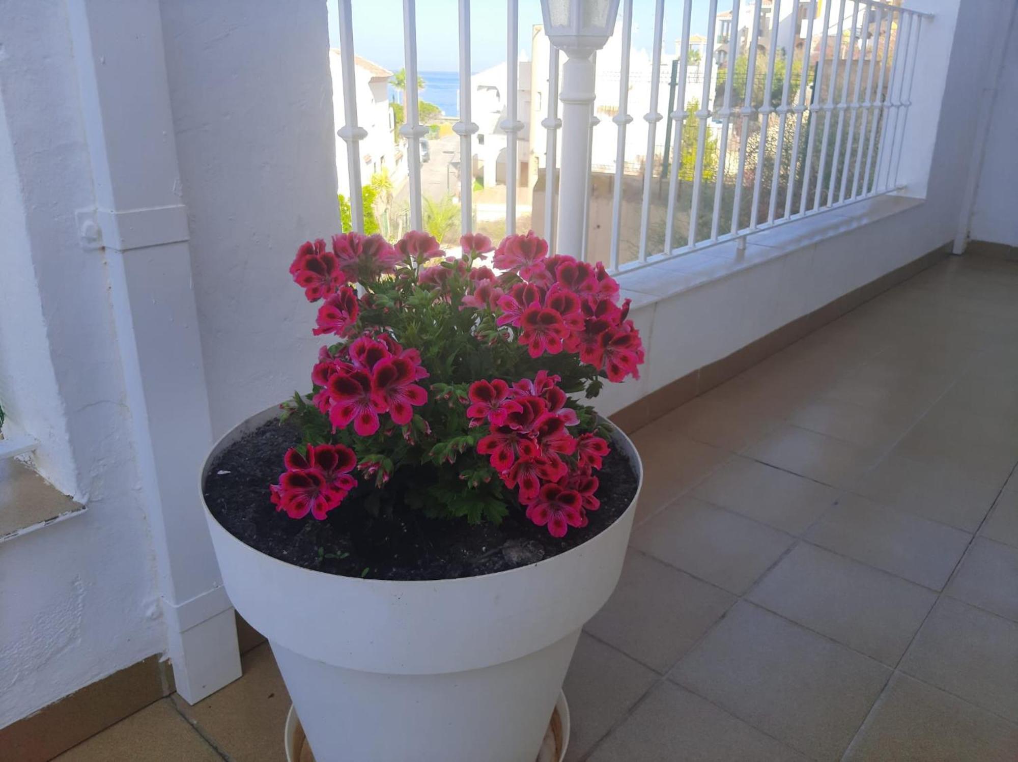 Las Gemelas De Terreros 1 San Juan de los Terreros エクステリア 写真