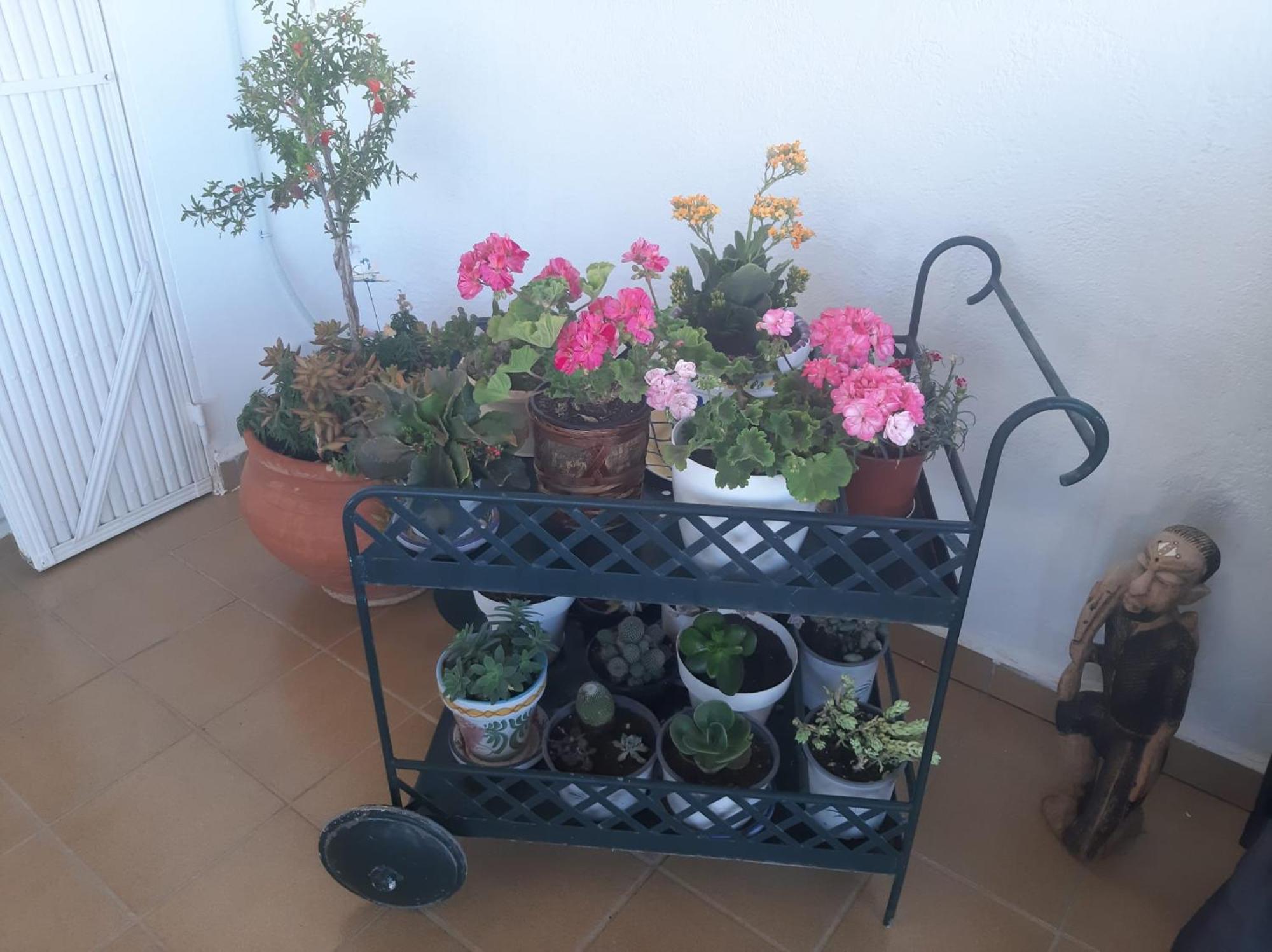 Las Gemelas De Terreros 1 San Juan de los Terreros エクステリア 写真