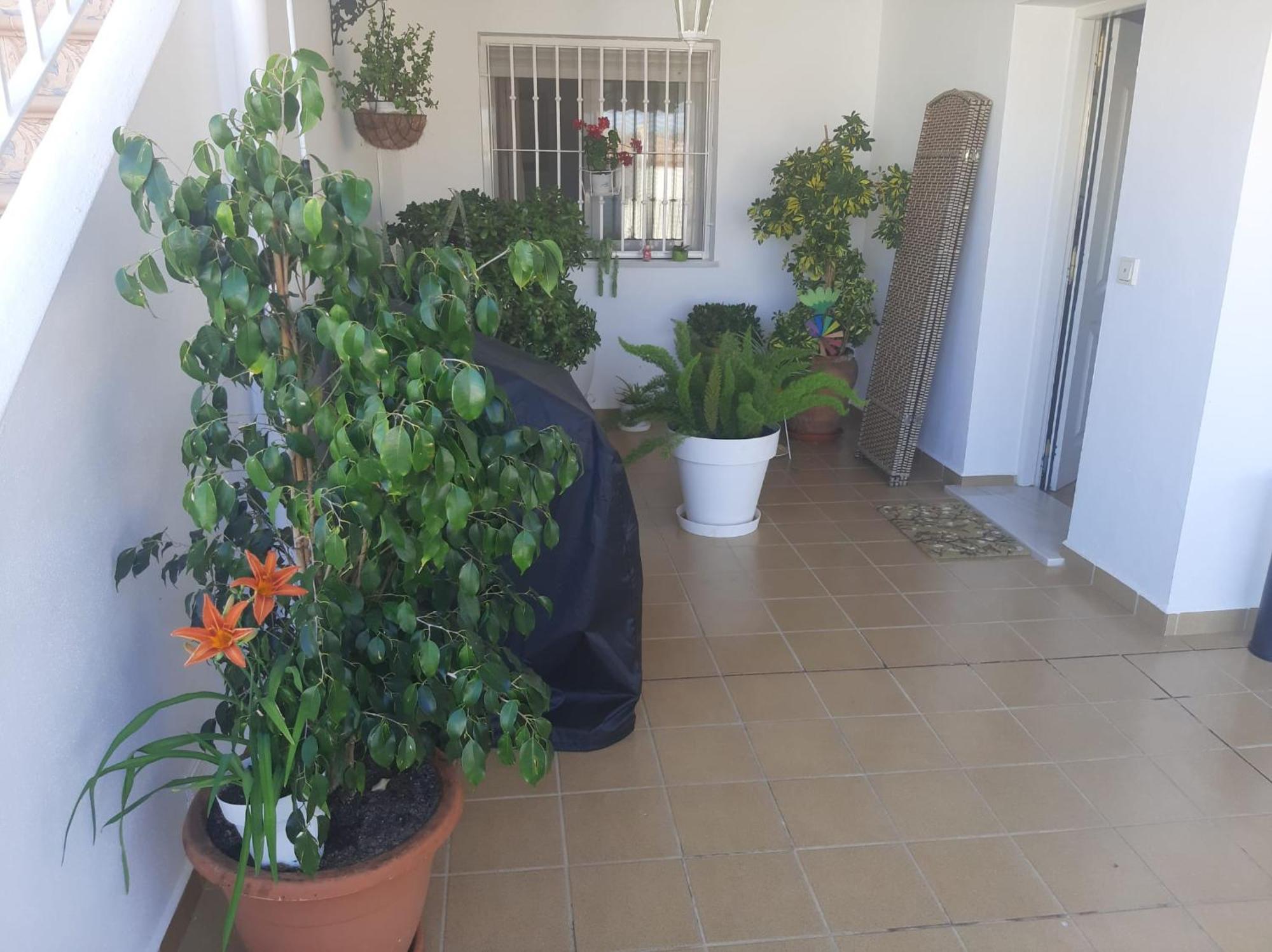 Las Gemelas De Terreros 1 San Juan de los Terreros エクステリア 写真